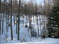 fourcat_gerard 001